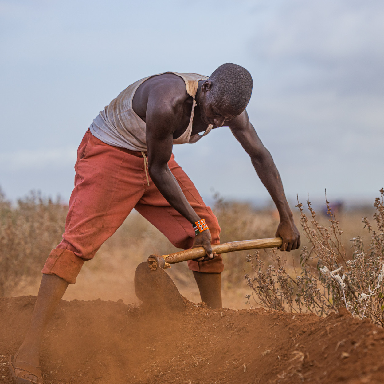 Let’s Dig – Order Your Bund Now