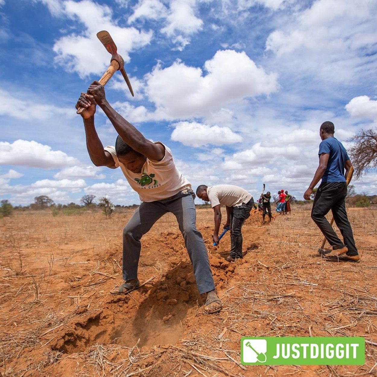 Let’s Dig – Order Your Bund Now